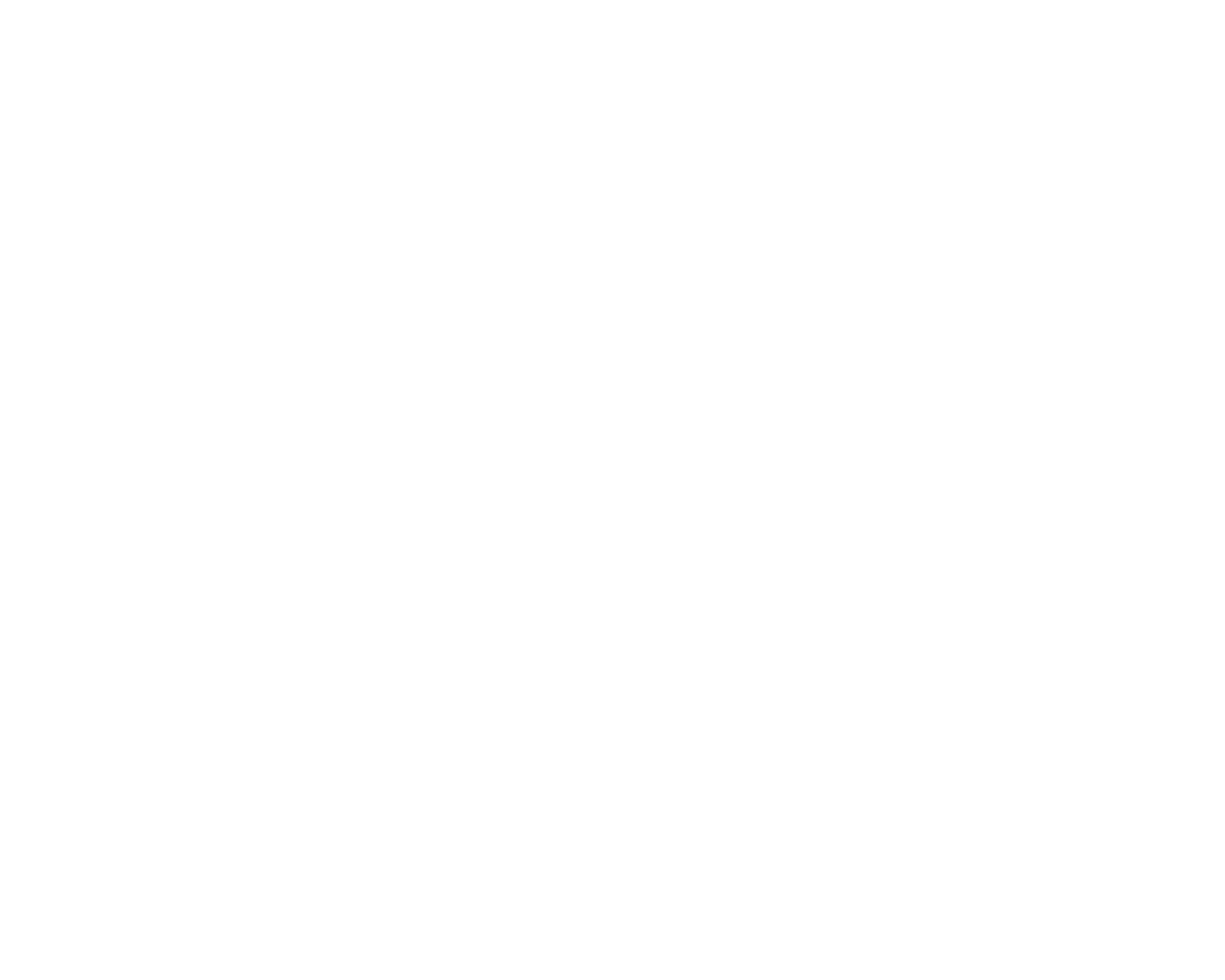 Rapidin